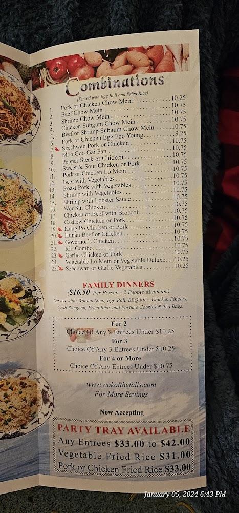 Wok of the Falls Menu image 3